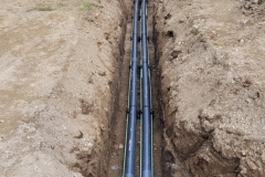 20211013_182226991_iOS