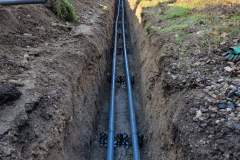 20211111_161934416_iOS