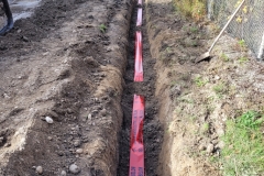 20211111_161939124_iOS