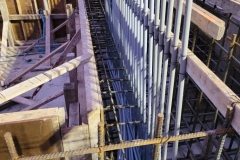 20211216_124228368_iOS