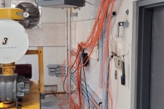 20220202_190411485_iOS